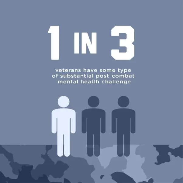 1 in 3 veterans have some type of substantial post-combat mental health challenge